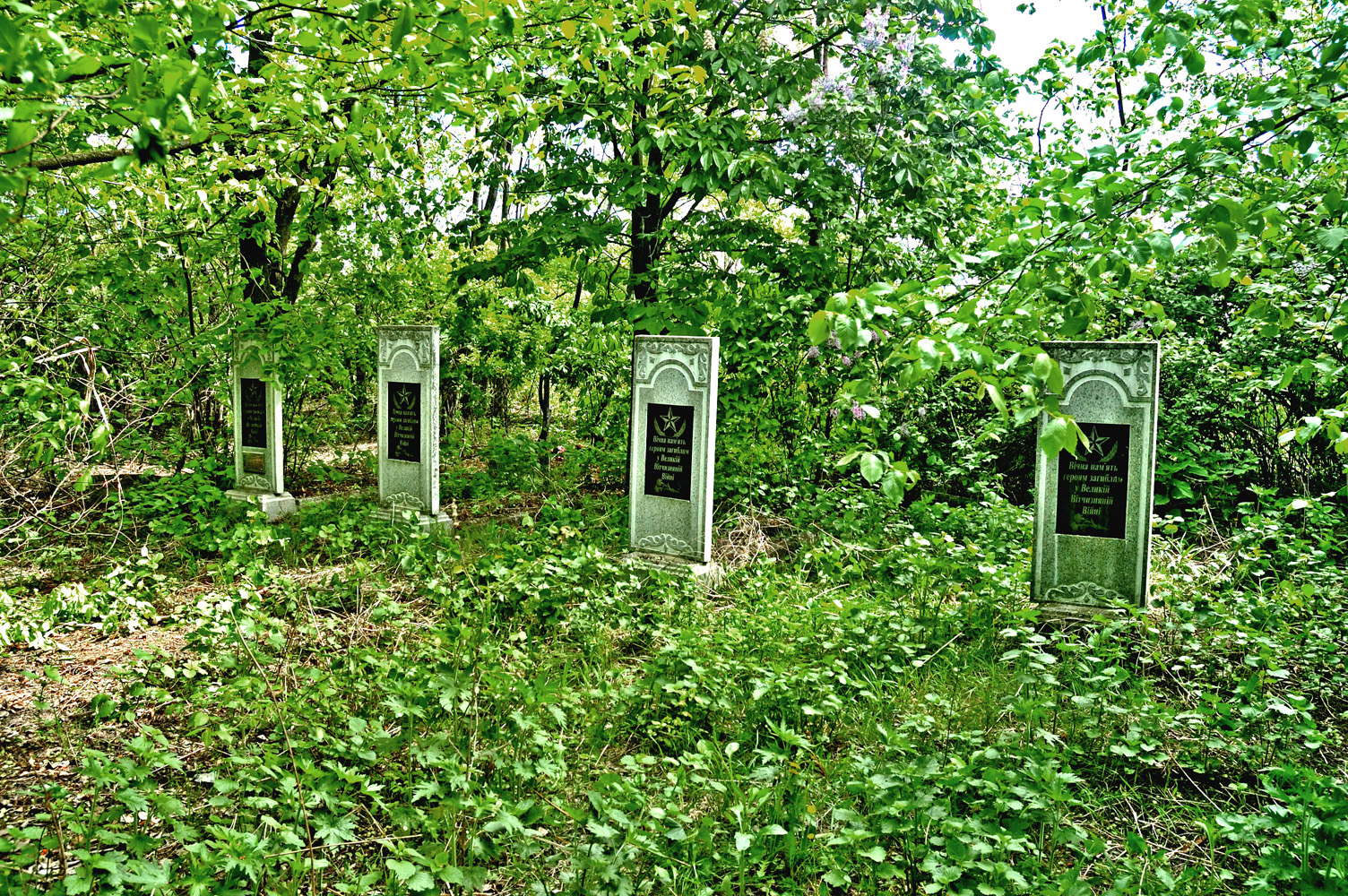 Воинское захоронение на кладбище с. Средиполье