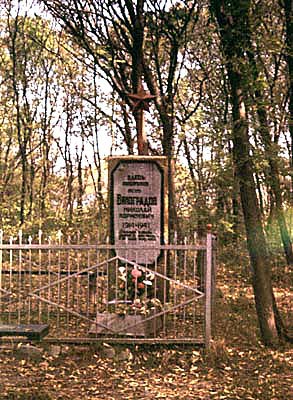 Памятник на могиле лётчика Виноградова Н.Г.
